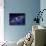 Planets and Asteroids Circle Around Not One, But Two Suns-Stocktrek Images-Mounted Photographic Print displayed on a wall
