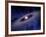 Planets and Asteroids Circle Around Not One, But Two Suns-Stocktrek Images-Framed Photographic Print