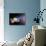 Planets, Moon and Asteroids-null-Photographic Print displayed on a wall