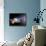 Planets, Moon and Asteroids-null-Framed Photographic Print displayed on a wall