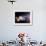 Planets, Moon and Asteroids-null-Framed Photographic Print displayed on a wall