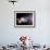 Planets, Moon and Asteroids-null-Framed Photographic Print displayed on a wall