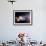 Planets, Moon and Asteroids-null-Framed Photographic Print displayed on a wall