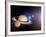 Planets, Moon and Asteroids-null-Framed Photographic Print