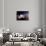 Planets, Moon and Asteroids-null-Photographic Print displayed on a wall