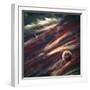 Planets over the Nebulae in Space-Vadim Sadovski-Framed Photographic Print