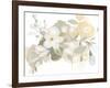 Planifolia II-June Erica Vess-Framed Art Print