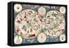 Planisphere Coeleste, Star Map, 1680-Science Source-Framed Stretched Canvas