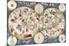 Planisphere Coeleste, Star Map, 1680-Science Source-Mounted Giclee Print