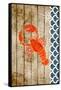 Planked Sealife II-Julie DeRice-Framed Stretched Canvas