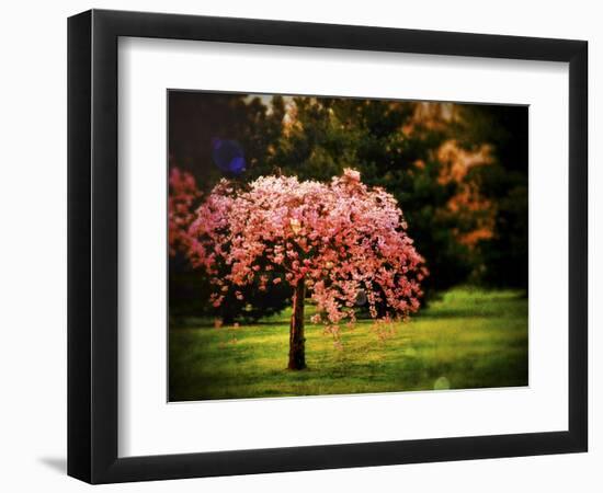 Plant a Hope-Christy Ann-Framed Premium Giclee Print