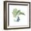 Plant Big Leaf I Dark Green-Chris Paschke-Framed Art Print