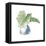 Plant Big Leaf I Dark Green-Chris Paschke-Framed Stretched Canvas