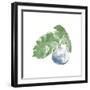 Plant Big Leaf IV Dark Green-Chris Paschke-Framed Art Print