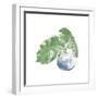 Plant Big Leaf IV Dark Green-Chris Paschke-Framed Art Print