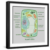 Plant Cell-Gwen Shockey-Framed Giclee Print