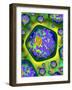 Plant Cells, Artwork-Mehau Kulyk-Framed Photographic Print