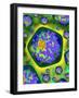 Plant Cells, Artwork-Mehau Kulyk-Framed Photographic Print