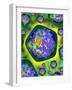 Plant Cells, Artwork-Mehau Kulyk-Framed Photographic Print