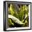 Plant Exploration I-Emily Navas-Framed Photographic Print