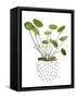 Plant in a Pot II-Melissa Wang-Framed Stretched Canvas