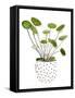 Plant in a Pot II-Melissa Wang-Framed Stretched Canvas
