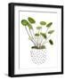 Plant in a Pot II-Melissa Wang-Framed Art Print