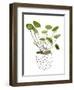 Plant in a Pot II-Melissa Wang-Framed Art Print