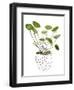 Plant in a Pot II-Melissa Wang-Framed Art Print