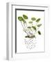 Plant in a Pot II-Melissa Wang-Framed Art Print