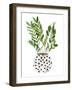 Plant in a Pot III-Melissa Wang-Framed Art Print