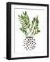 Plant in a Pot III-Melissa Wang-Framed Art Print