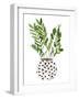 Plant in a Pot III-Melissa Wang-Framed Art Print