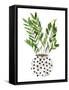 Plant in a Pot III-Melissa Wang-Framed Stretched Canvas