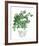 Plant in a Pot IV-Melissa Wang-Framed Art Print