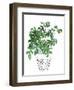 Plant in a Pot IV-Melissa Wang-Framed Art Print