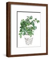 Plant in a Pot IV-Melissa Wang-Framed Art Print