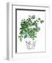 Plant in a Pot IV-Melissa Wang-Framed Art Print