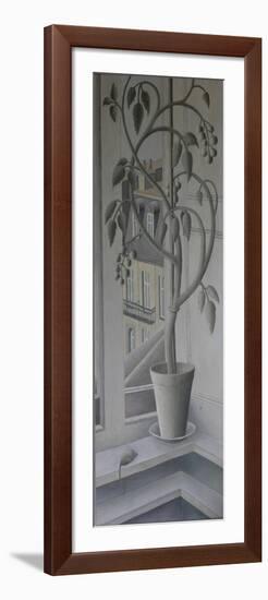 Plant in Window,-Ruth Addinall-Framed Giclee Print