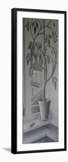 Plant in Window,-Ruth Addinall-Framed Premium Giclee Print