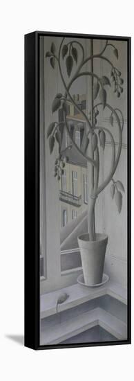 Plant in Window,-Ruth Addinall-Framed Stretched Canvas