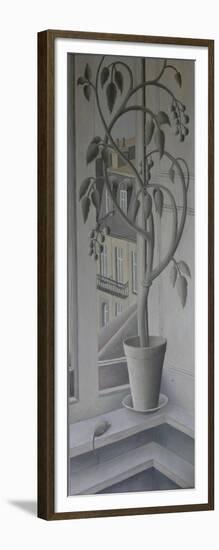 Plant in Window,-Ruth Addinall-Framed Giclee Print