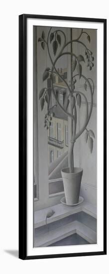 Plant in Window,-Ruth Addinall-Framed Giclee Print