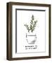 Plant Lady I-Anna Quach-Framed Art Print