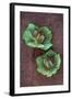 Plant Leaf-Den Reader-Framed Photographic Print