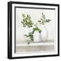 Plant Life II-Julia Purinton-Framed Art Print