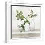 Plant Life II-Julia Purinton-Framed Art Print