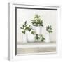 Plant Life III-Julia Purinton-Framed Art Print