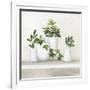 Plant Life III-Julia Purinton-Framed Art Print