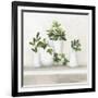 Plant Life III-Julia Purinton-Framed Art Print